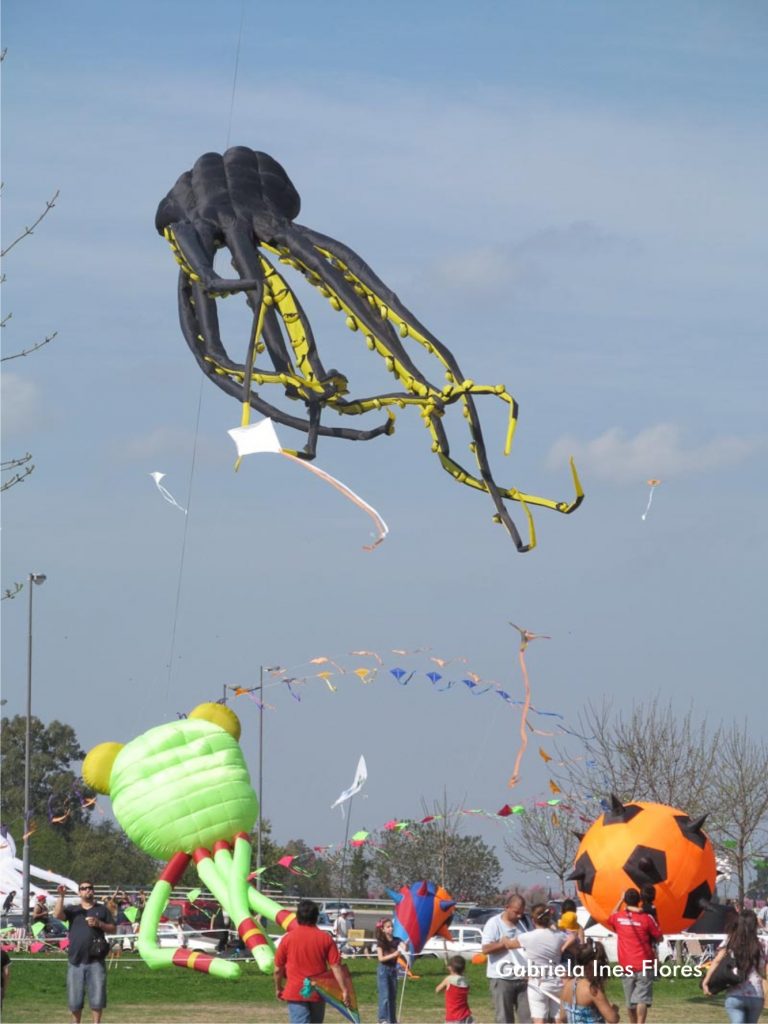 Festival de Barriletes en Rosario