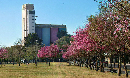 Primavera en Rosario