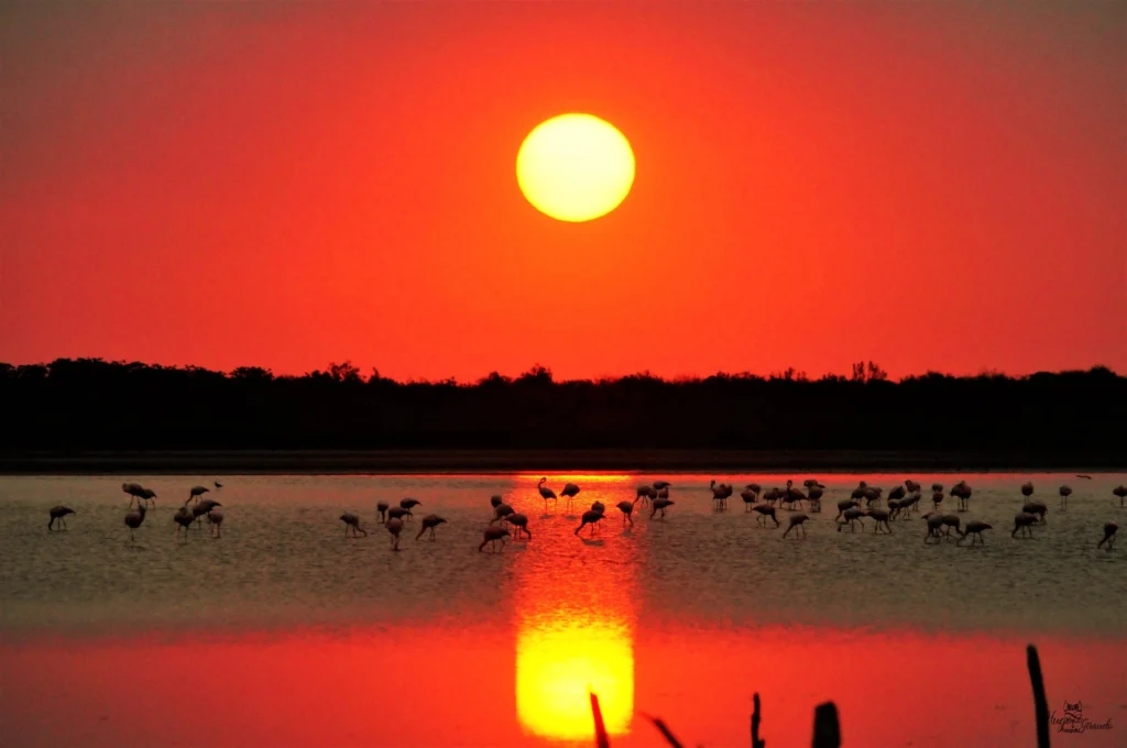 Atardecer en la laguna Mar Chiquita, Miramar de Ansenuza, Córdoba